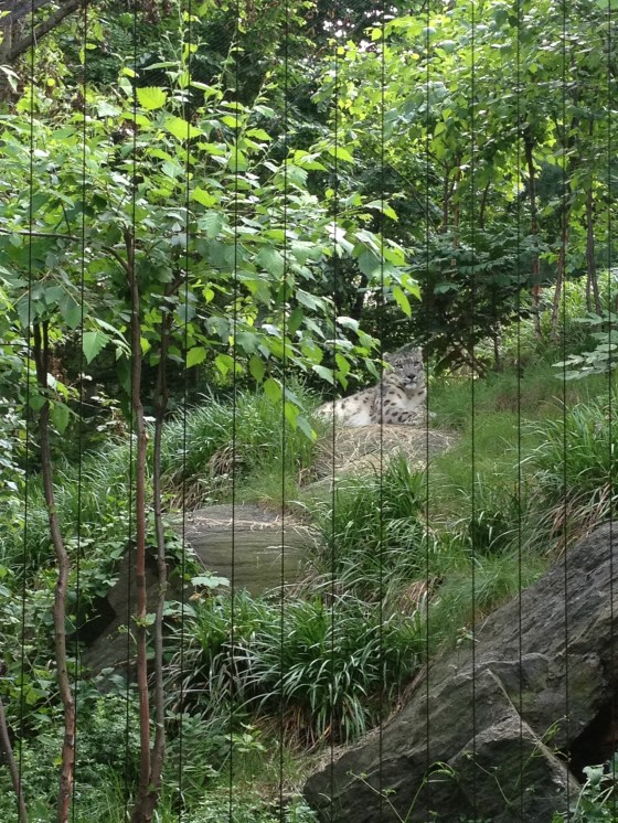 20130617-130838.jpg