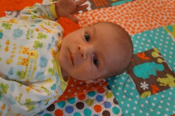 20130808-215819.jpg